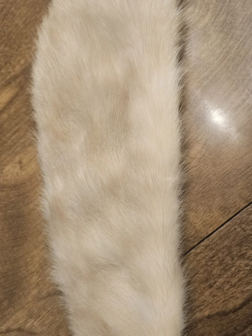 Champagne Beige Rabbit Fur Collar Scarf
